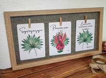 Charger l'image dans la galerie, Lot de 3 Cartes Postales Illustrées à l'Aquarelle - "Bouquet de Bénédiction Tropicale"