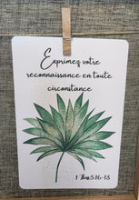 Charger l'image dans la galerie, Lot de 3 Cartes Postales Illustrées à l'Aquarelle - "Bouquet de Bénédiction Tropicale"
