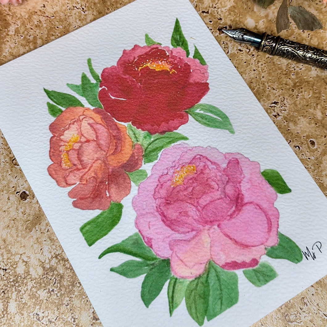 Carte postale 3 pivoines à l'aquarelle