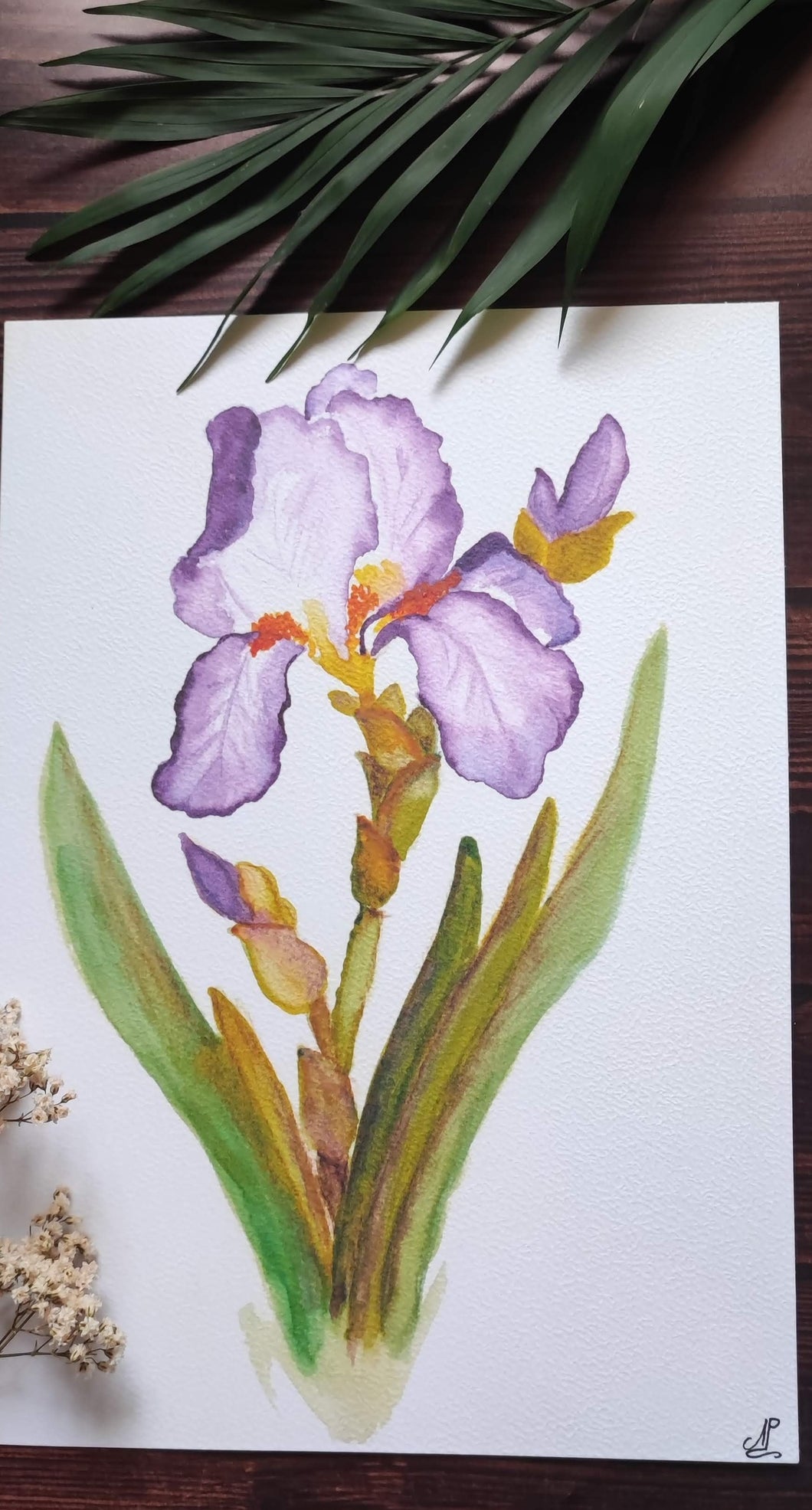 Aquarelle peinte à la main Iris violet (format A4)